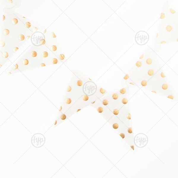 Fancy Vellum Pennant Banners | Fancy Vellum Pennant Mini Banner, 8ft will give your party the personalized touch every host desires.