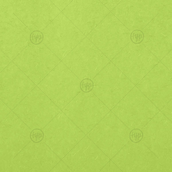 Lime Tissue Paper | Our custom Lime 10 sheets Tissue Paper will add that special attention to detail that cannot be overlooked.