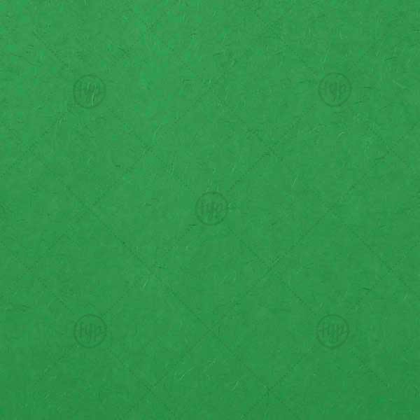 Spruce Tissue Paper | The ever-popular Spruce 10 sheets Tissue Paper are a must-have for your next event—whatever the celebration!