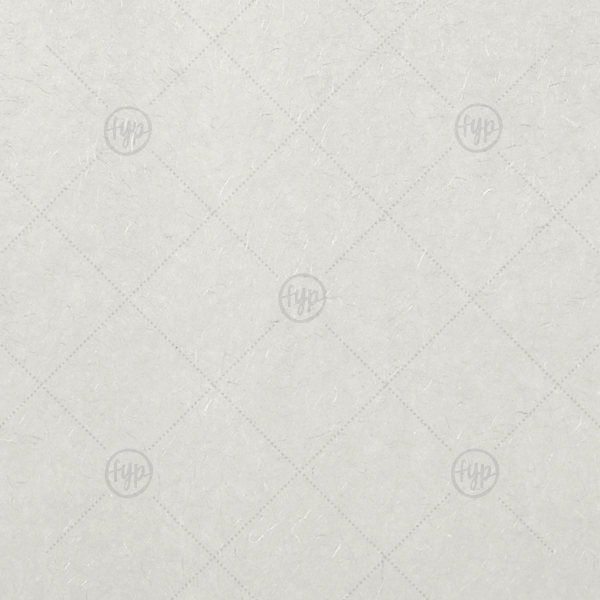 White Tissue Paper | ForYourParty's chic White 10 sheets Tissue Paper will add that special attention to detail that cannot be overlooked.