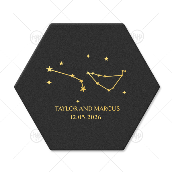 Written in the Stars Coaster Hexagon Coaster (Foil)